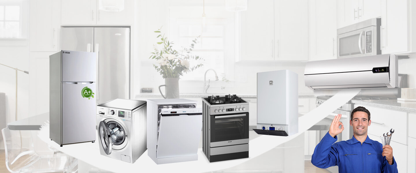 Aydıncık Grundig Servisi
